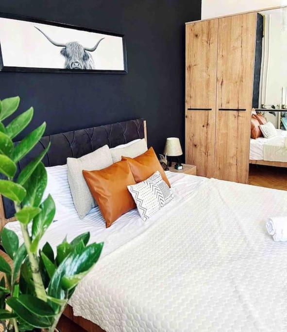 Modern & Rustic Apartment - City Center. Приштина Экстерьер фото